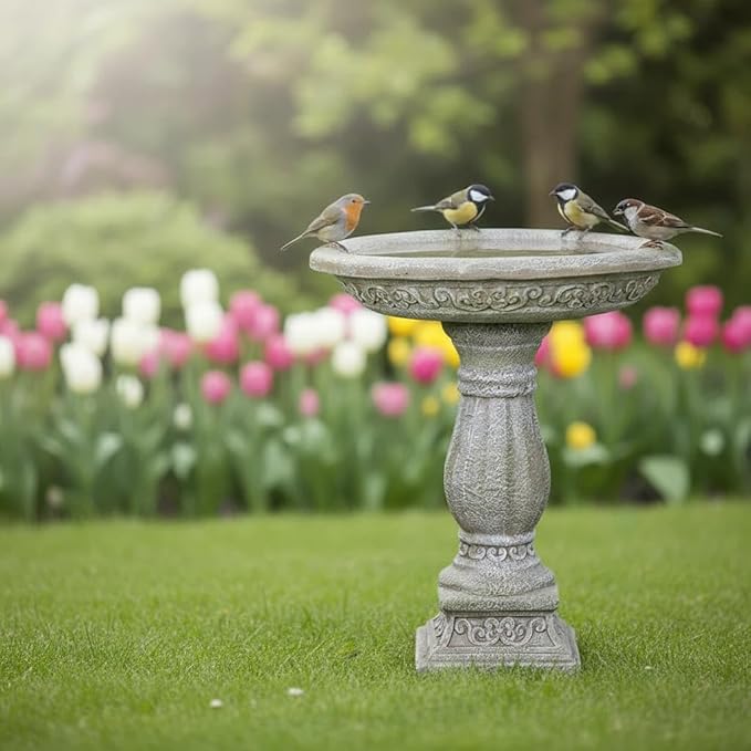 SunJet 23.8 Inch High Concrete Bird Bath with Carved Pedestal – Birdbath Sturdy & Elegant Design, Stone-Like Texture, Attracts Birds and Enhances Garden, Patio, Yard, Lawn Decor