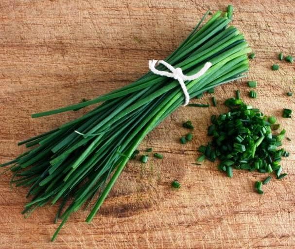 Seeds Chives Onion (Garlic Scapes) Green Non GMO Vegetable for Planting