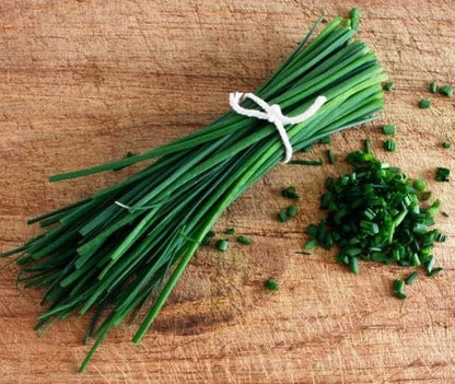 Seeds Chives Onion (Garlic Scapes) Green Non GMO Vegetable for Planting