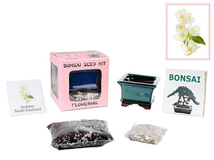Eve's Jasmine Bonsai Seed Kit, Flowering, Complete Kit to Grow Jasmine Bonsai from Seed * Cannot Ship to Louisiana LA