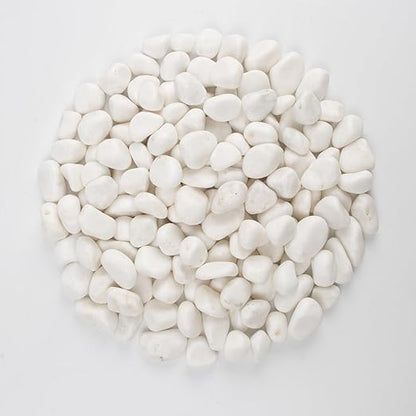 10 lbs White Polished Decorative Stones, 0.5-1 Inch Landscape Rocks for Indoor Plants, Garden, Outdoor Pathways, Vase Fillers, Pots, Glass Containers, and Craft Pro (Pure White, Weight: 10 LB)