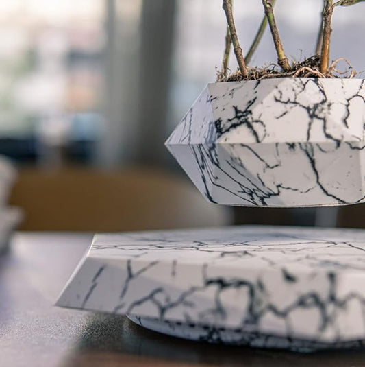 Floating Plant Pot Planter Suspension Air Bonsai Pot Flower Pot Levitating Plant Pot for Home Office