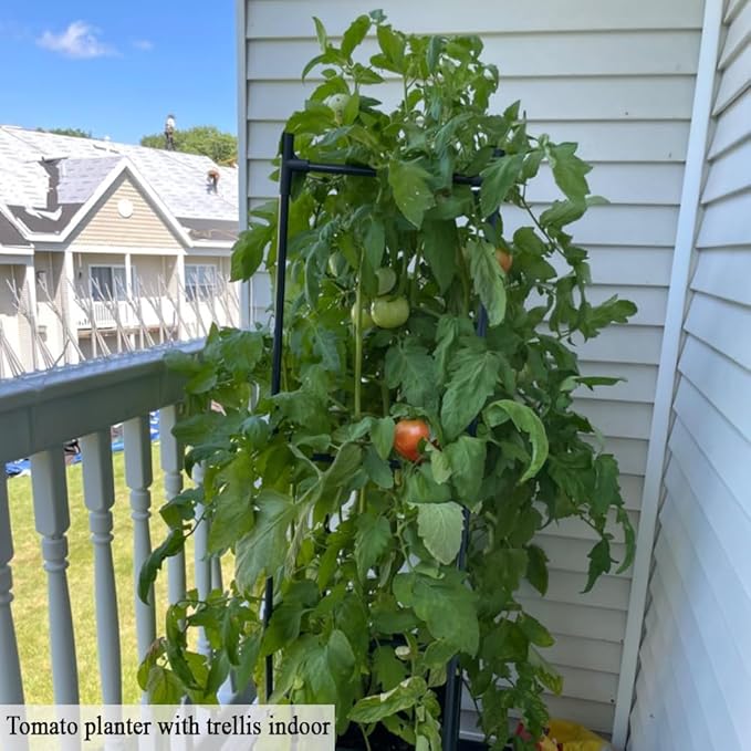2 Pack Tomato Planter with Trellis, 62" H Rolling Planter Box with Wheels & Water Reservoir, Self-Watering Raised Garden Bed for Climbing Plants, Tomato, Potato, Vegetables, Chili