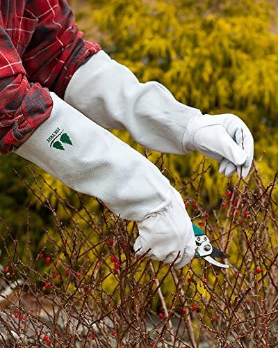 Leather Gardening Gloves by Fir Tree. Premium Goatskin Gloves With Cowhide Suede Gauntlet Sleeves. Perfect Rose Garden Gloves. Men's and Women's Sizes. (See Size Chart Photo) Size S