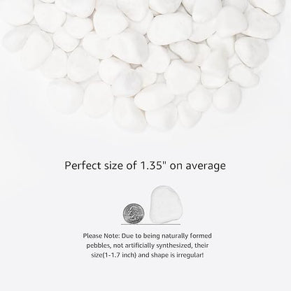 White Natural River Rocks, 1-1.5 Inch Decorative Stones for Plants, Garden, and Landscaping – 40LB, Ideal for Fish Tanks, Vases, Crafting, Home Decor, and Outdoor Landscaping