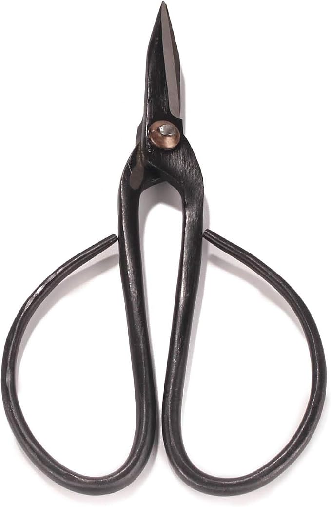 BambooMN Brand - 7.25" Black Bonsai Shear - 30 Shears