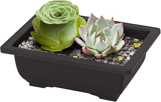 KINJOEK 20 PCS 6.5 Inch Bonsai Training Pots, Rectangular Plastic Bonsai Pots, Flower Succulent Pots Container for Garden, Indoor, Home Decorative