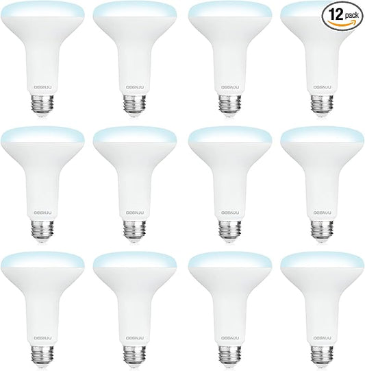 12 Pack BR30 LED Recessed Light Bulb, Dimmable Indoor Flood Light Bulbs CRI80 7W Equivalent 65W 5000K Daylight 650 Lumens, 15000 Lifetime Hours E26 Base LED Can Light Bulb, Flicker-Free