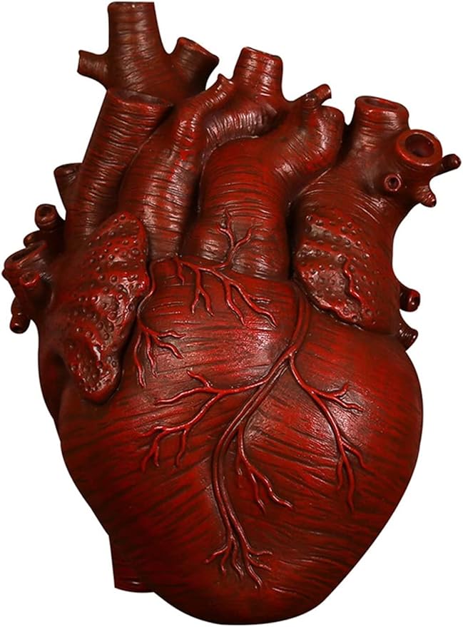 Resin Vase Planter, Decorative Heart Vase - Anatomical Heart Tabletop Decorative Craft, Farmhouse Living Room Bedroom Countertop (Red,Small)