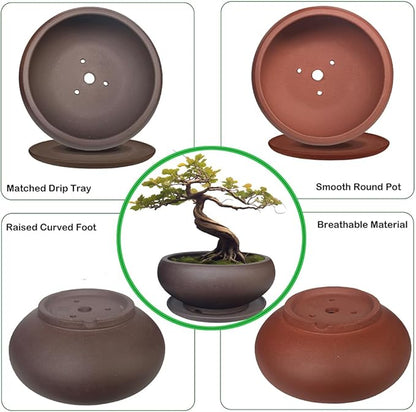 MUZHI 5.3” Round Ceramic Bonsai Starter Pots with Trays Set of 2 Brown and Red, Small Vintage Unglazed Succulent Pots with Saucers Minimalist Classic Mame Bonsai Planter with Drainage