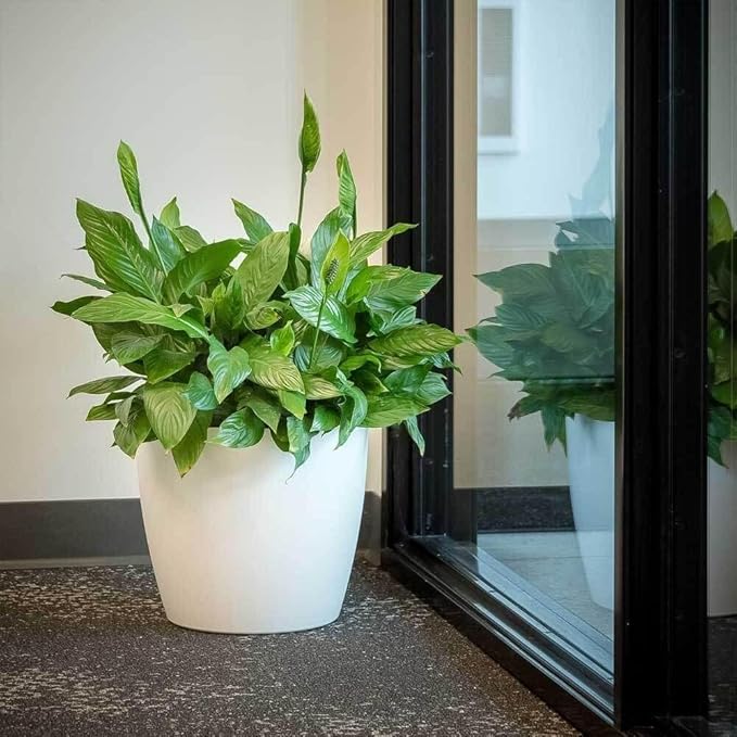 Memphis 15" Round Indoor Floor Planter Pot – Lightweight & Durable Plastic, Modern Design, Made in USA, Recyclable Large Plant Container for Home & Office Décor (Silver)