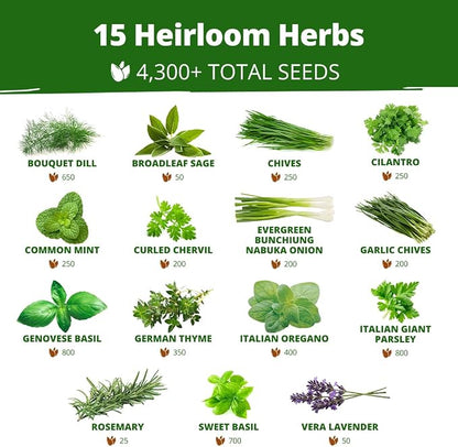 HOME GROWN Herb Seeds for Planting 15-Pack Massive Seed Count 4,300+ Seeds Non-GMO Heirloom | Extra Large | Culinary Herb Kit, Indoor Outdoor & Hydroponic | Grow Your Own Herbs | Gardening Gift