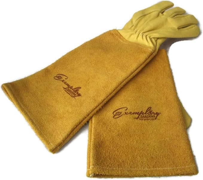 Rose Pruning Gloves for Men and Women - Thorn Proof Goatskin Leather Gardening Gloves with Gauntlet (Extra Large, Yellow)