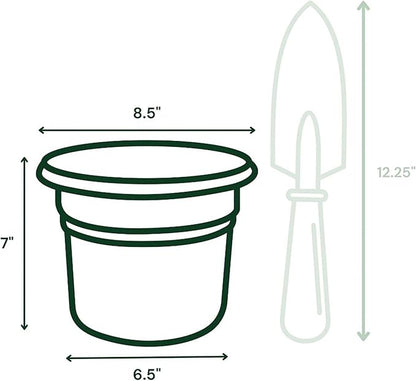 Bloem Posy 8" Basil Round Resin Planter Pot Indoor and Outdoor Gardening