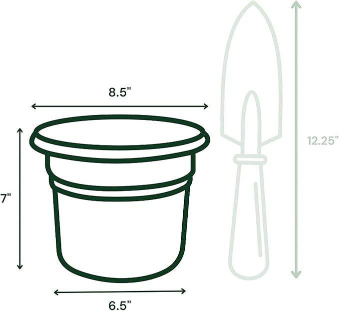 Bloem Posy 8" Charcoal Round Resin Planter Pot Indoor and Outdoor Gardening