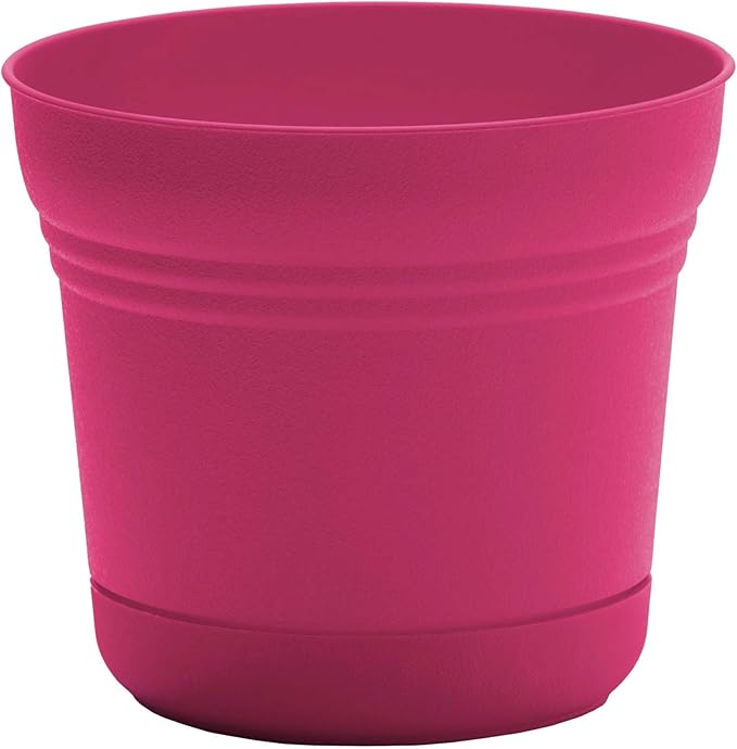 Bloem Saturn 5" Fuchsia Round Resin Planter Pot with Snap-in Saucer for Indoor and Outdoor Gardening, 4-Pack