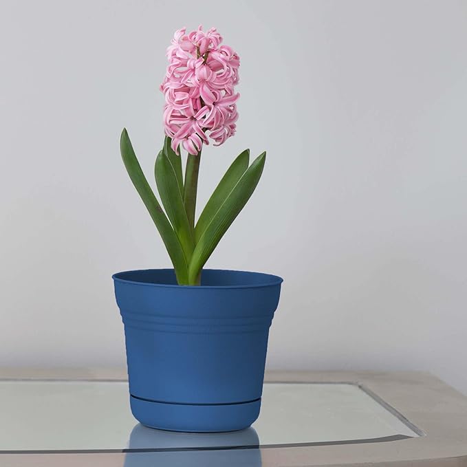 Bloem Saturn 7" Classic Blue Round Resin Planter Pot with Snap-in Saucer for Indoor and Outdoor Gardening