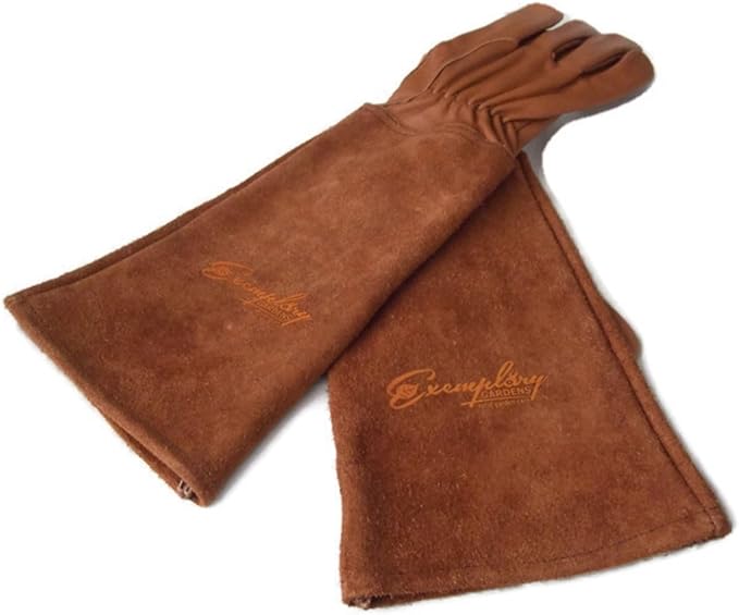 Rose Pruning Gloves for Men and Women - Thorn Proof Goatskin Leather Gardening Gloves with Gauntlet (Large, Brown)