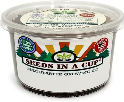 Dogwood Tree Seed Starter Grow Kit, Easy to use, Educational, Great Gift idea, Grow Your Own Tree, Huge Plant and Tree Selection to Choose from, Gift for Him