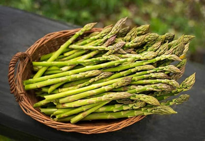 Seeds Green Mary Washington Asparagus - Heirloom Vegetable - GMO Free