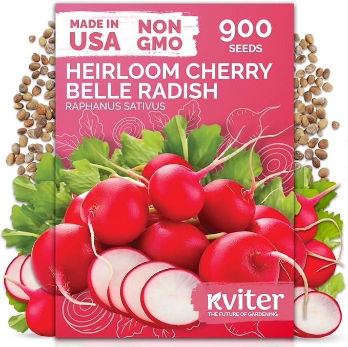 KVITER 900 Cherry Belle Radish Seeds (Raphanus sativus) - Non-GMO Vegetable Seed Packet, Crisp Mild Flavor - Heirloom Red Radish Seeds for Planting Vegetables in Outdoor & Indoor Garden