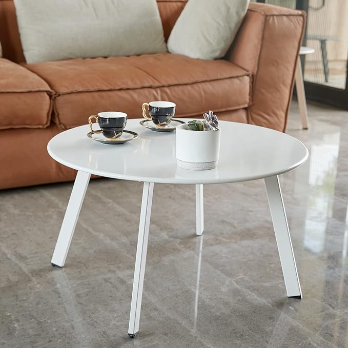 Meluvici Outdoor Side Table, Outdoor/Indoor Metal Steel Patio Coffee Table, Round Weather Resistant Anti-Rust, White