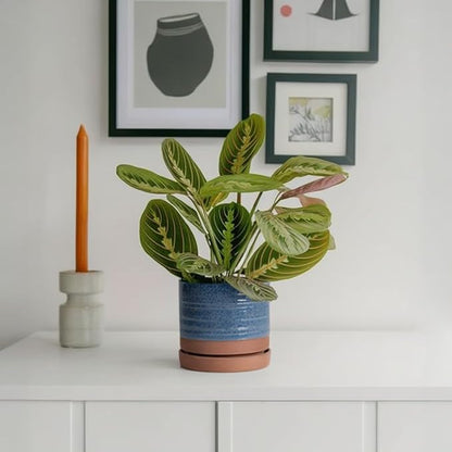 HERDUK 6 Inch Plant Pots, Ceramic Planter Pot with Drainage Hole & Saucer, Indoor/Outdoor Cylinder Round Planter Pot, Aqua Blue & Terracotta Red