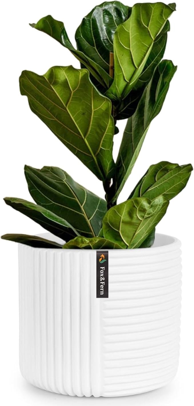 Fox & Fern Large 12 Inch Planter with Drainage Plug — Premium Polystone White Plant Pot - Modern Planter with 3D Texture and Ceramic Finish - 12 Inch Pots for Plants Indoor & Outdoor