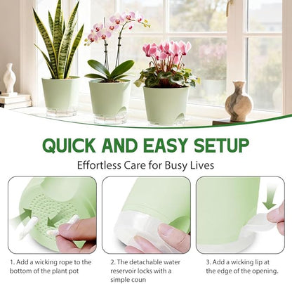 Self Watering Pots for Plants, 2026 New Flower Plant Pots with Drainage Holes, Wicking and Clear Reservoirs for Succulent, Aloe, Cacti and Others - 6 Pack (Green, 6")
