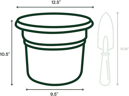 Bloem Posy 12" Basil Round Resin Planter Pot Indoor and Outdoor Gardening