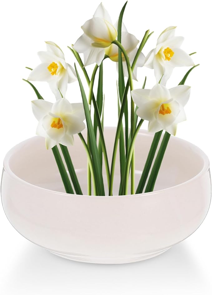 Toddmomy Ceramic Hydroponic Planter Pot 6.49X5.70X2.55 Inch Lotus Bowl for Indoor Succulents Coin Grass Water Lily Decorative Garden Container