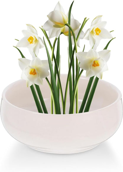 Toddmomy Ceramic Hydroponic Planter Pot 6.49X5.70X2.55 Inch Lotus Bowl for Indoor Succulents Coin Grass Water Lily Decorative Garden Container