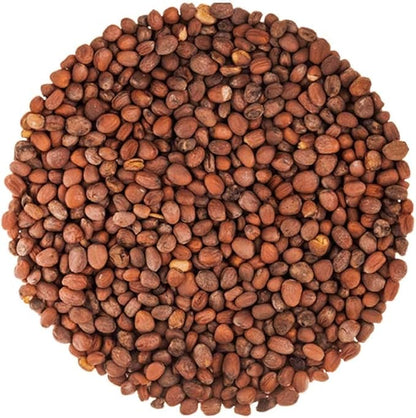 Radish Seeds for Sprouting, 15 Pounds – Edible Seeds, Pure, Vegan, Kosher, Bulk. Rich in Vitamin C. High Germitation Rate. Grow Sprouts, and Microgreens for Salad, Sandwiches, Rolls.