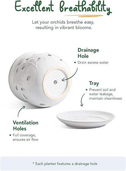 LE TAUCI Ceramic Orchid Pot, 6.5 Inch Orchid Pots with Holes, Orchid Planter for Repotting, Indoor Flower Plant Pot with Drainage and Saucer, White
