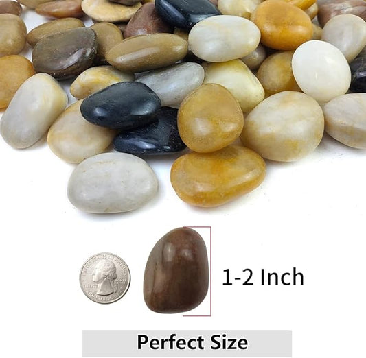YISZM 20lbs Pebbles for Indoor Plants, 1-2 Inch Mixed Color High Polished River Rocks Outdoor Decorative Stones Vase Filler Fish Tank Aquariums Landscaping Garden Outdoor and Indoor DIY