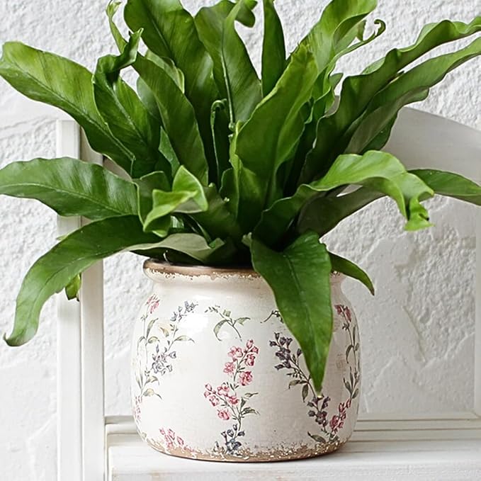 Flower Pots, Vintage Planters for Indoor Plants, 6.29'' Plant Pots with Drainage, Ceramic Pots for Plants, Vase & Planters, Indoor Planter for Home, Christmas Decorations, Purple Red