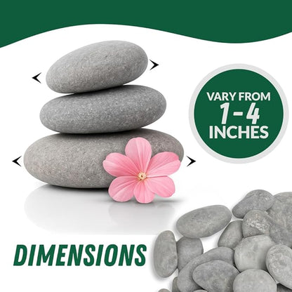 PGN 20 Large River Rocks for Painting - Stimulate Your Children’s Creativity with Our Painting Rocks for Kids - Flat and Smooth - Fun & Engaging Rock Painting with The Family - 2-4 Inches