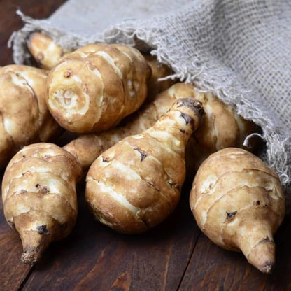 5Pcs Jerualem Artichoke Tubers for Planting Your Garden, Sunroots Sunchokes Tubers for Planting, Fresh Jerusalem Artichoke Roots