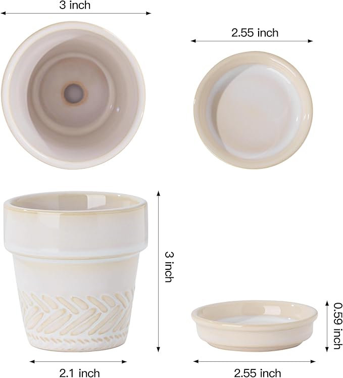 Fayoula Succulent pots,Indoor Small Succulent Bonsai,3 Inch Mini Ceramic Succulent Pots with Saucer and Drainage Hole, Decorative Planter for Succulent, Cactus, Set of 4.