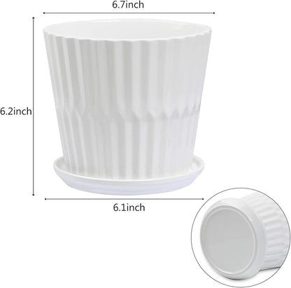 sietpoek Plant Pots - 6.7 Inch Cylinder Ceramic Planters with Connected Saucer, Pots for Succuelnt and Little Snake Plants, Set of 2, White