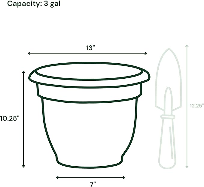 Bloem Ariana 12" Vanilla Bean Round Self-Watering Resin Planter Pot - Rolled Rim Indoor and Outdoor Gardening Planter