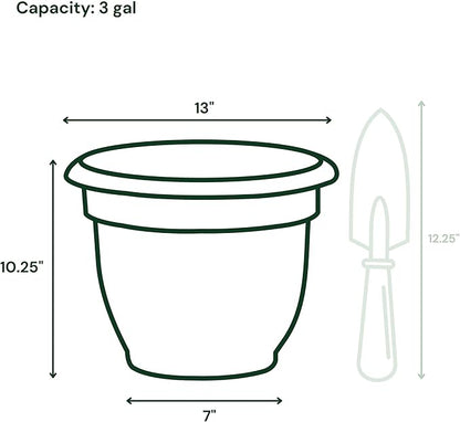 Bloem Ariana 12" Vanilla Bean Round Self-Watering Resin Planter Pot - Rolled Rim Indoor and Outdoor Gardening Planter