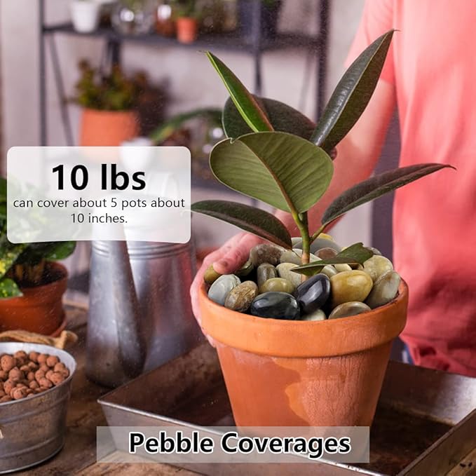 YISZM 10lbs Pebbles for Indoor Plants, 1-2 Inch Mixed Color High Polished River Rocks Outdoor Decorative Stones Vase Filler Fish Tank Aquariums Landscaping Garden Outdoor and Indoor DIY