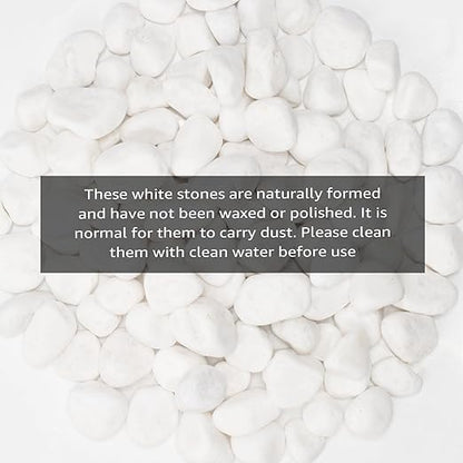 White Natural River Rocks, 1-1.5 Inch Decorative Stones for Plants, Garden, and Landscaping – 40LB, Ideal for Fish Tanks, Vases, Crafting, Home Decor, and Outdoor Landscaping