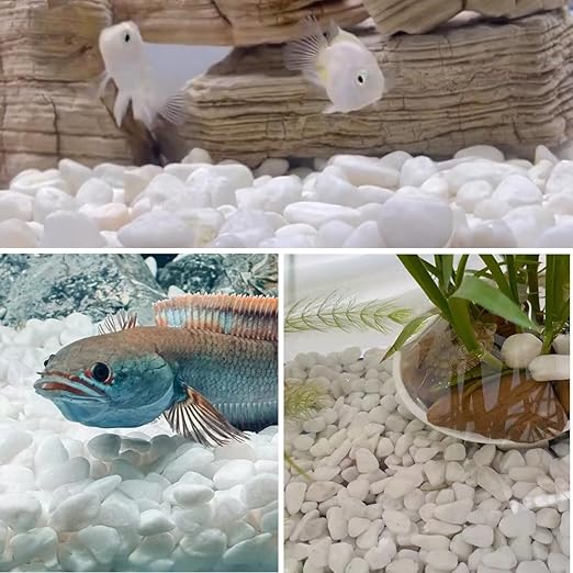 YISZM 20lb White River Rocks for Landscaping, 1-2 Inch Natural Pebbles for Indoor Plants, Snow White Decorative Stones, Ideal for Fish Tank, Vases, Crafting, Home Decor and Garden Rocks