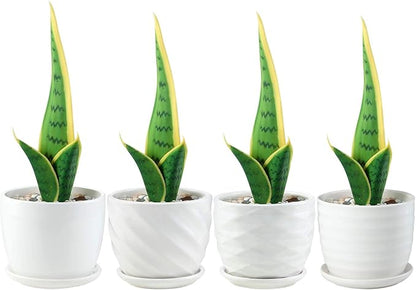 sietpoek Plant Pots - 4.7 Inch Cylinder Ceramic Planters with Connected Saucer, Pots for Succuelnt and Little Snake Plants, Set of 4, White