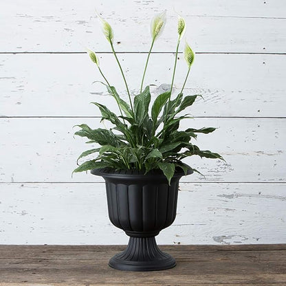 Root & Vessel, Classic Urn Planter, Black, 14-Inch