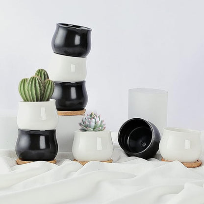 SHECIPIN 2 Pack Succulent Pots, 2.5 Inch Mini Ceramic Pots for Flower or Cactus Plants with Drainage Hole,Plants Not Included (Black)