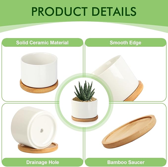 ZOUTOG Succulent Pots 3.1 Inch,Succulent Planters 12 Pack,Small Pots for Plants with Drainage and Tray,White Ceramic Flower Planters for Indoor Plants,Home,Office,Desk