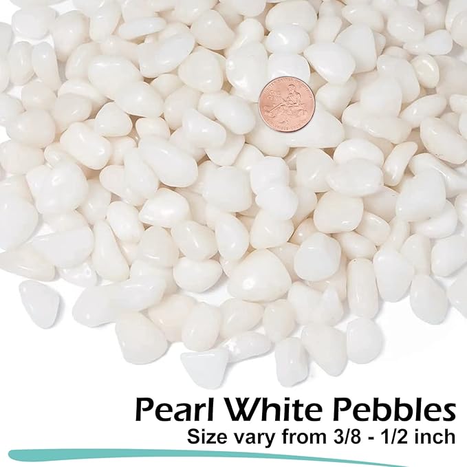 GASPRO 5lb Pebbles for Indoor Plants, Vases, Succulent, 3/8" Small Decorative White Rocks, High Polished